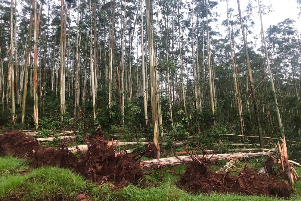 Capa Forte temporal atinge município de Ametista do Sul na tarde de sábado