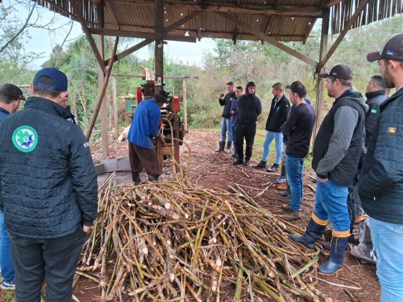 Capa Estudantes da URI/FW visitam propriedade agroindustrial em Guatambu/SC