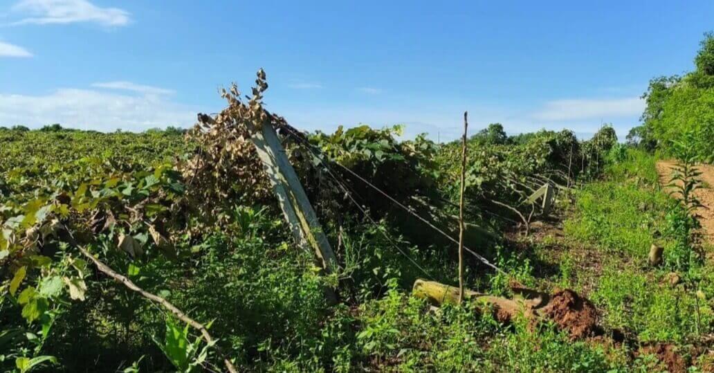 Capa Prefeitura de Alpestre divulga Nota de Repúdio por vandalismo em parreirais