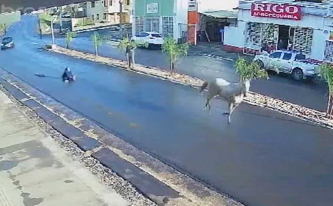 Capa Adolescente de 14 anos é arrastada por cavalo em disparada no RS