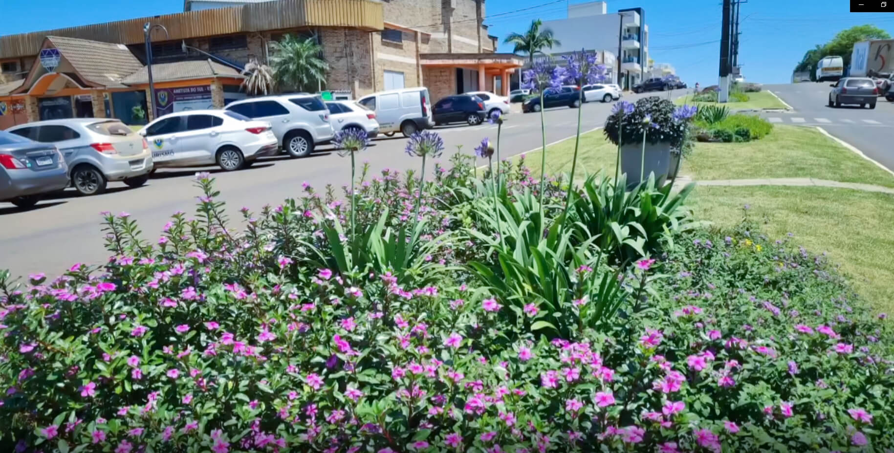 Capa Jardins do Norte Gaúcho: uma iniciativa que revitaliza propriedades e espaços públicos