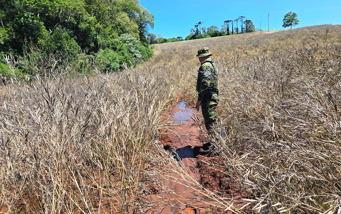 Capa Brigada Ambiental flagra poluição no solo por descarte de esgoto em Boa Vista das Missões