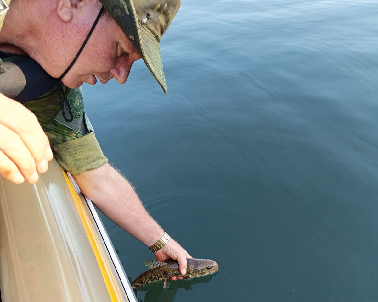 Capa Comando Ambiental apreende redes de pesca e peixes durante operação em Ronda Alta e Campinas do Sul