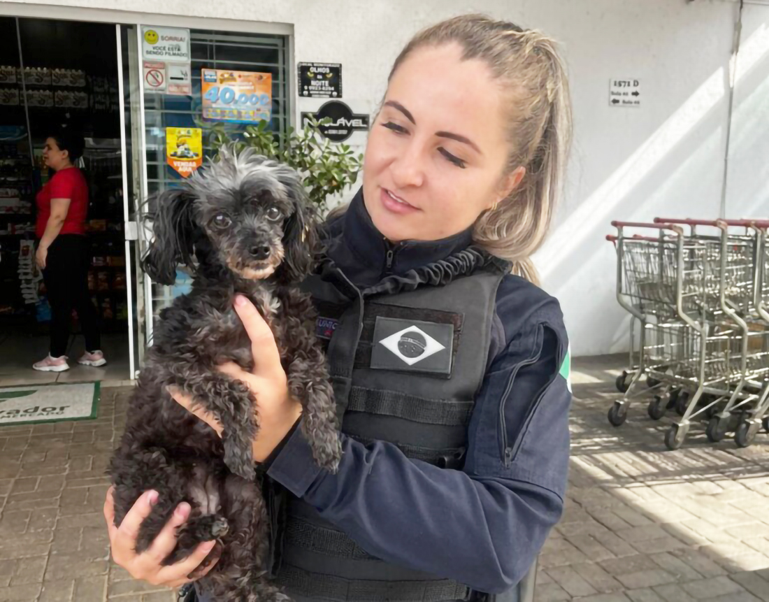 Capa Homem é preso após furtar veículo e cachorro em Chapecó