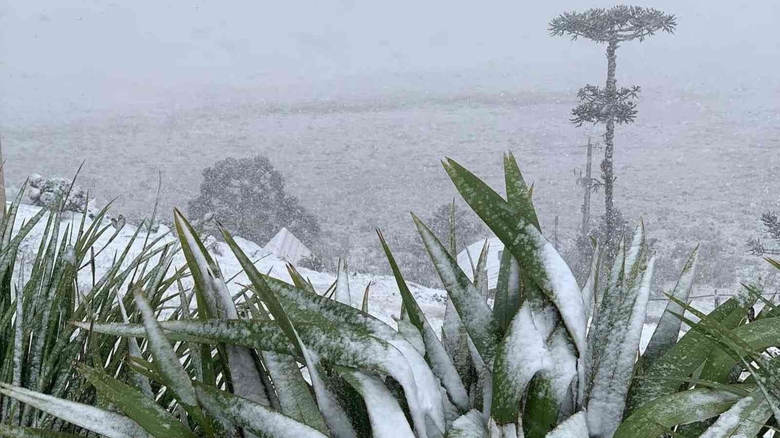 Capa Inverno inicia hoje com previsão de frio mais severo e chance de neve no RS