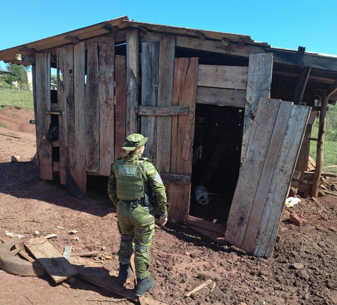 Capa Brigada Militar flagra maus-tratos a animal e crimes ambientais em Pontão