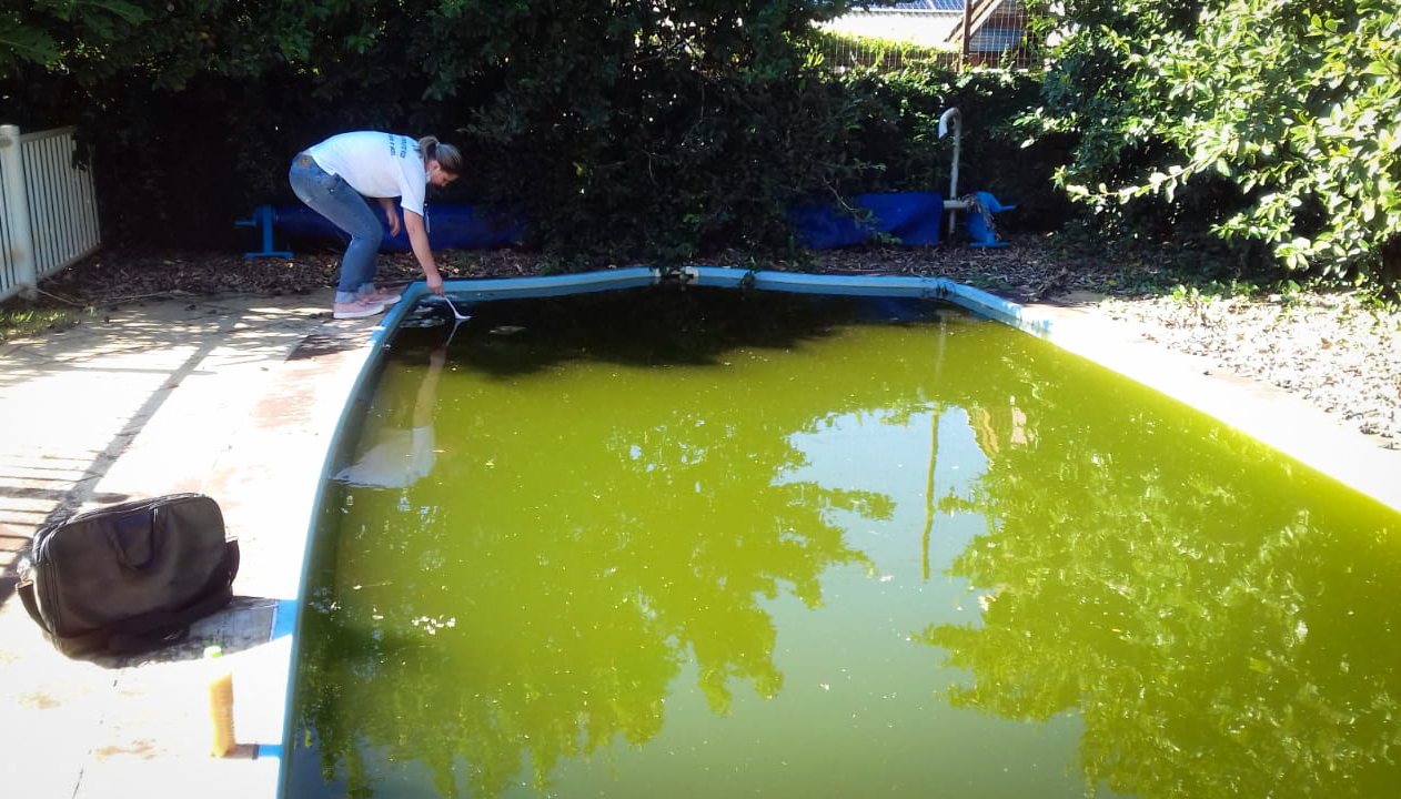 Capa Secretaria de Saúde de Frederico Westphalen alerta para o aumento nos casos de dengue