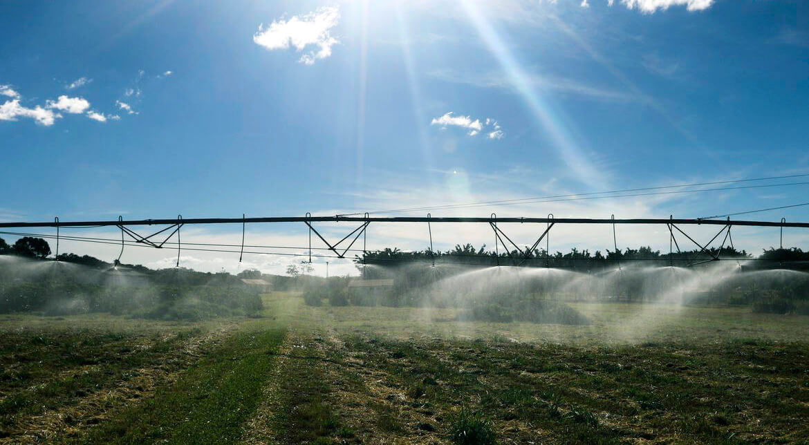 Capa Badesul aprova R$ 170 milhões em linhas de crédito rural destinadas ao Plano Safra 2024/25