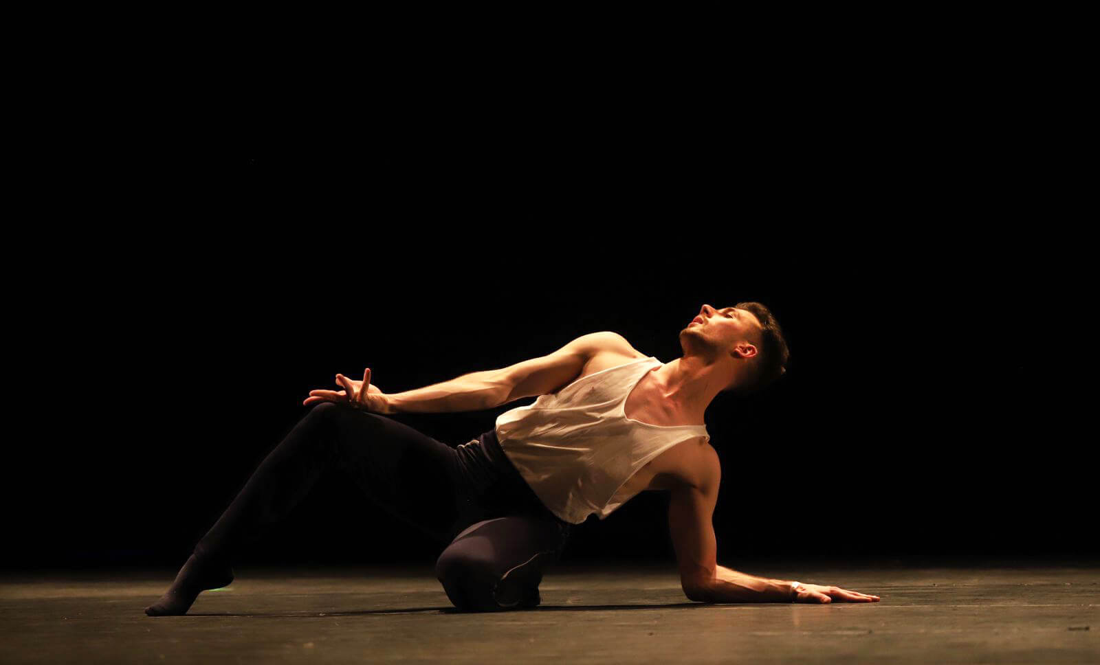 Capa Talentos frederiquenses participam do 40º Festival de Dança de Joinville
