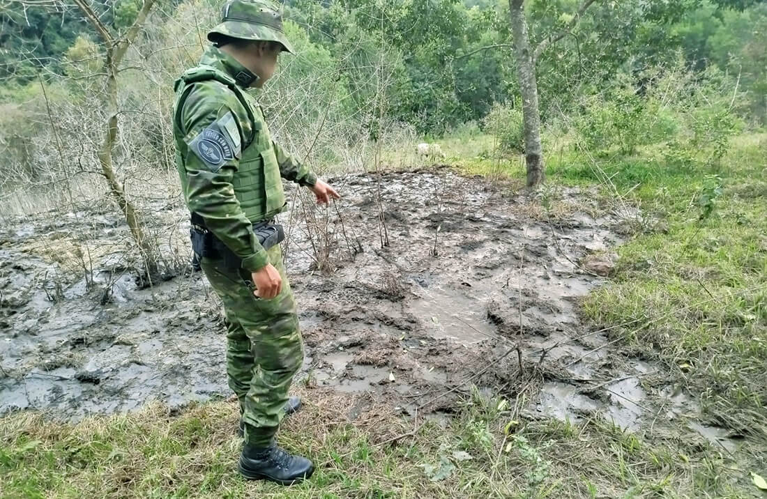 Capa Propriedade em Pinheirinho do Vale é autuada por descarte irregular de dejetos suínos