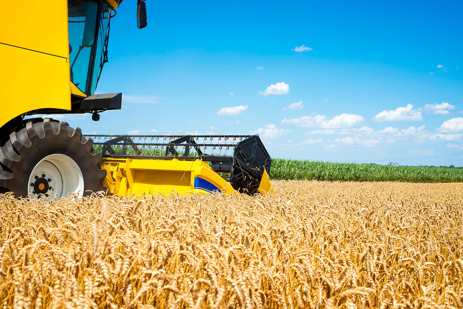 Capa Plano Safra buscará ampliar produção de alimentos e sustentabilidade
