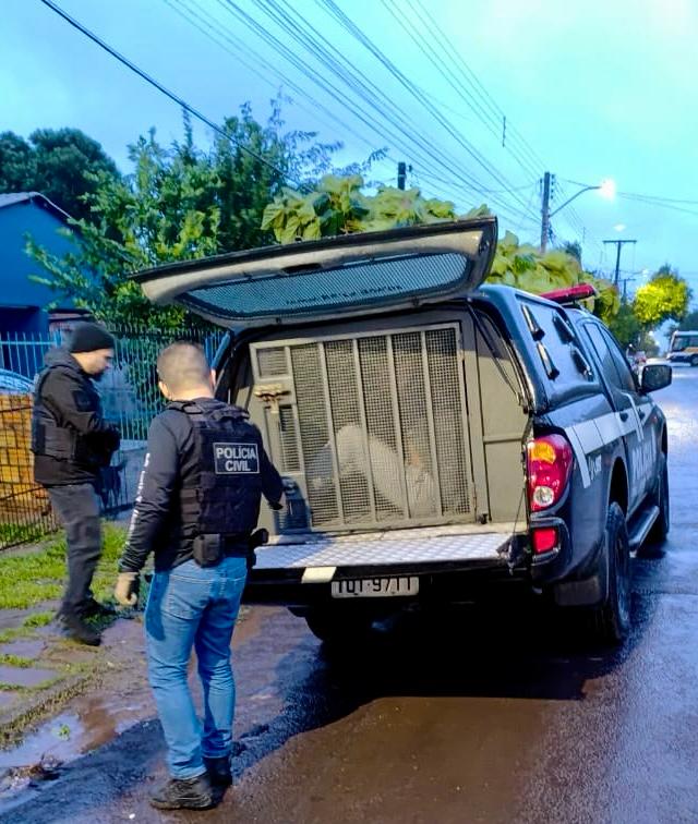 Capa Polícia Civil prende, em Itaqui, suspeito de homicídio em Palmeira das Missões