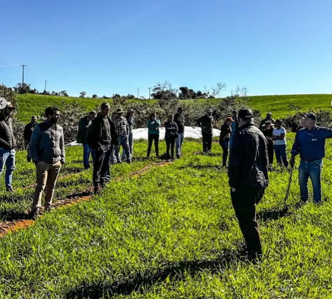 Capa Faxinalzinho promove Dia de Campo para fortalecer a produção leiteira