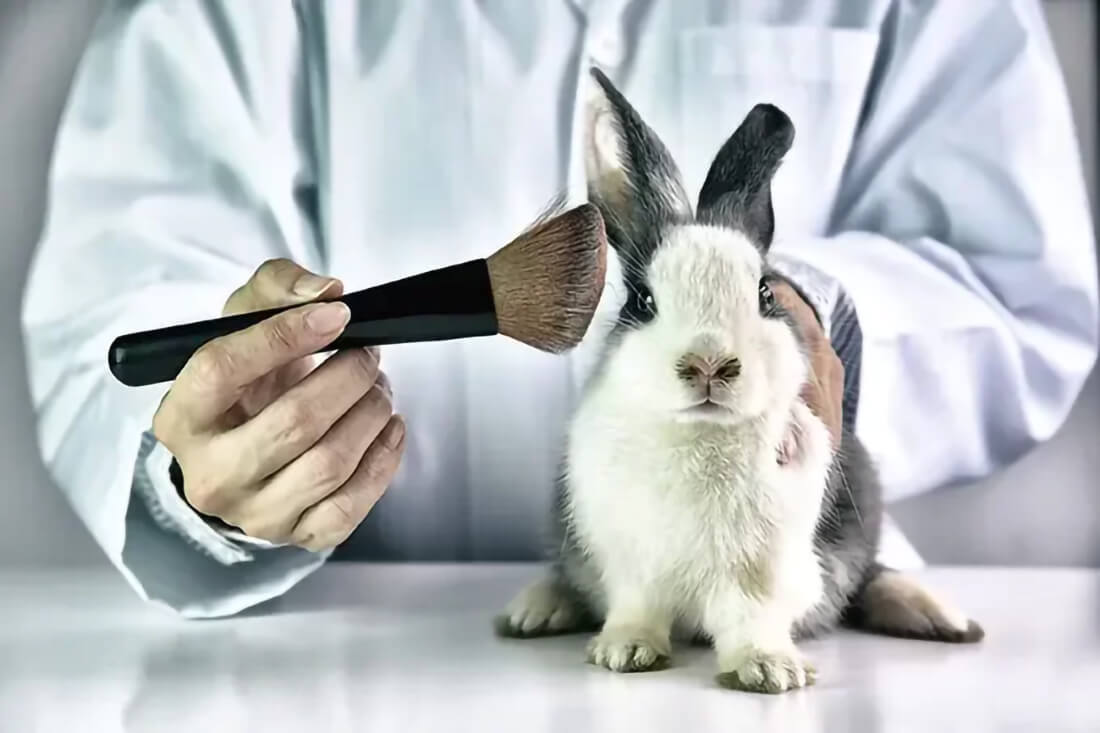 Capa Lula sanciona lei que proíbe uso de animais em testes de cosméticos