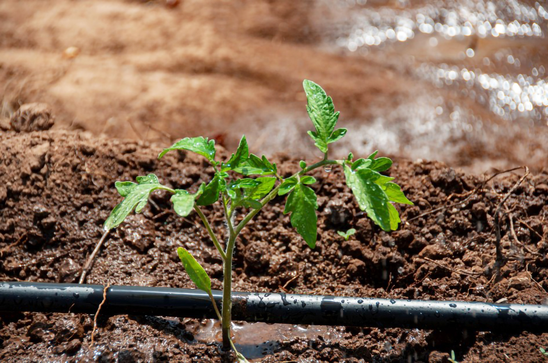 Capa Últimos dias para produtores rurais se inscreverem no Programa Irriga+ do governo do Estado