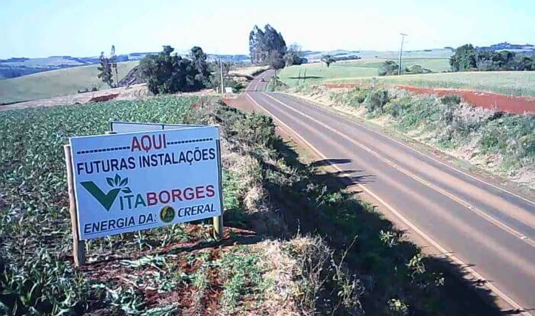Capa Grupo Vitaborges investirá R$ 181 milhões em fábrica de ração e processamento de soja em Trindade do Sul