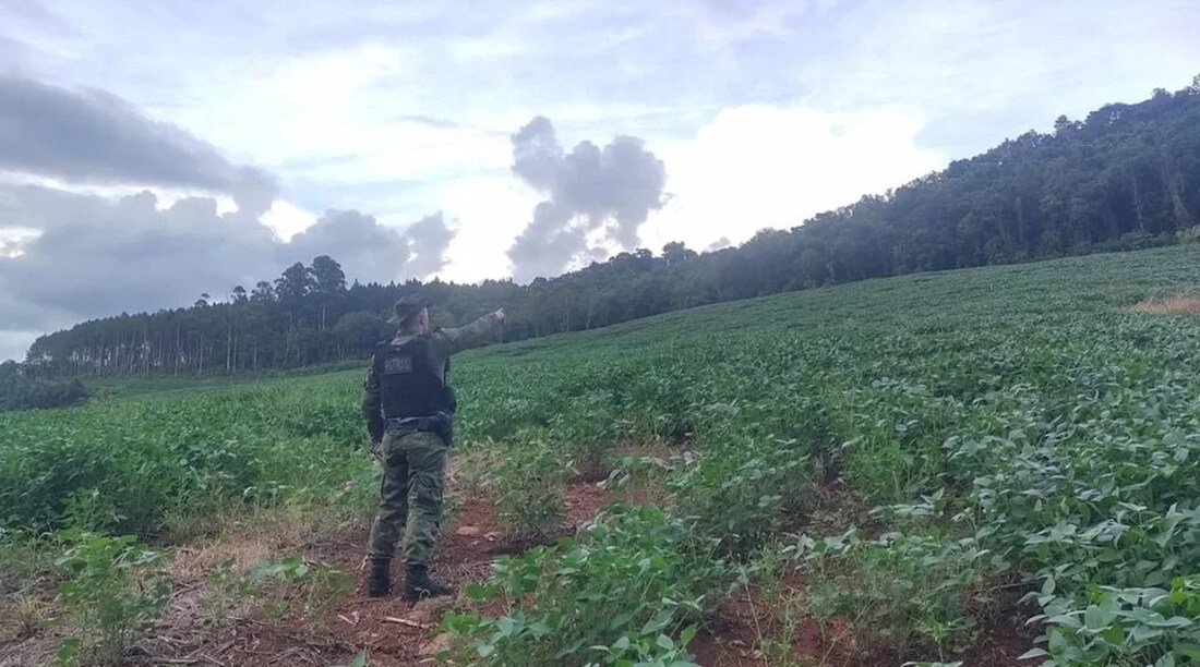 Capa Polícia flagra mais de 6,7 hectares de desmatamento entre Rodeio Bonito e Cristal do Sul