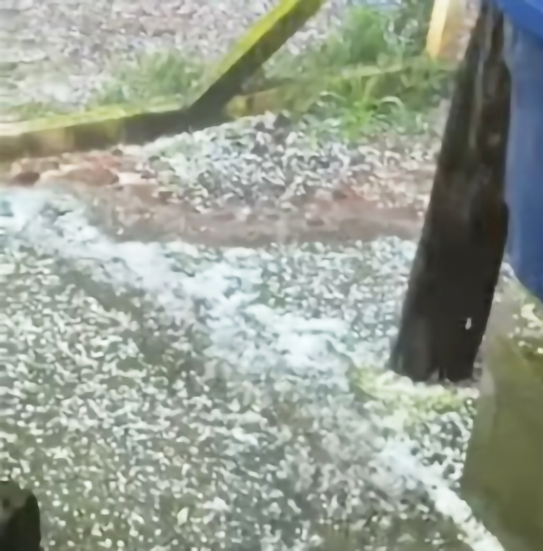 Capa Queda de granizo atinge municípios de Vista Gaúcha, Palmitinho e Seberi nesta quinta-feira