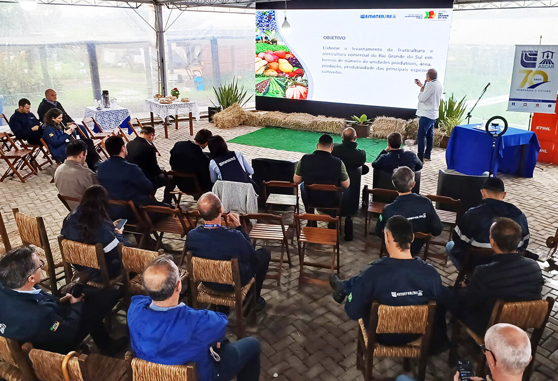 Capa Rio Grande do Sul produziu mais de 4,5 milhões de toneladas de frutas e hortaliças em um ano