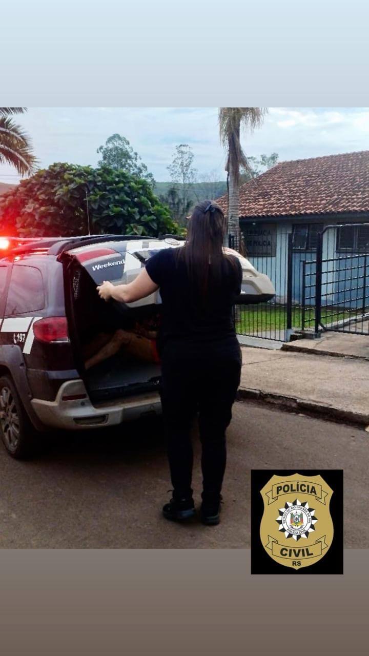 Capa Polícia Civil cumpre prisão preventiva de investigado por estupro de vulnerável em Vicente Dutra