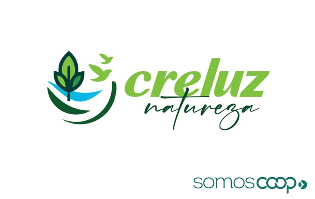 Capa Creluz lança marca ambiental para unificar projetos de sustentabilidade