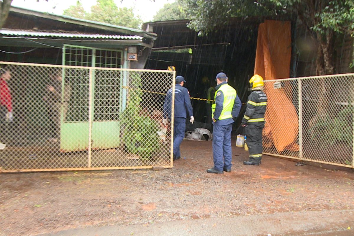 Capa Menino de 11 anos morre após quase um mês internado por queimaduras em Chapecó