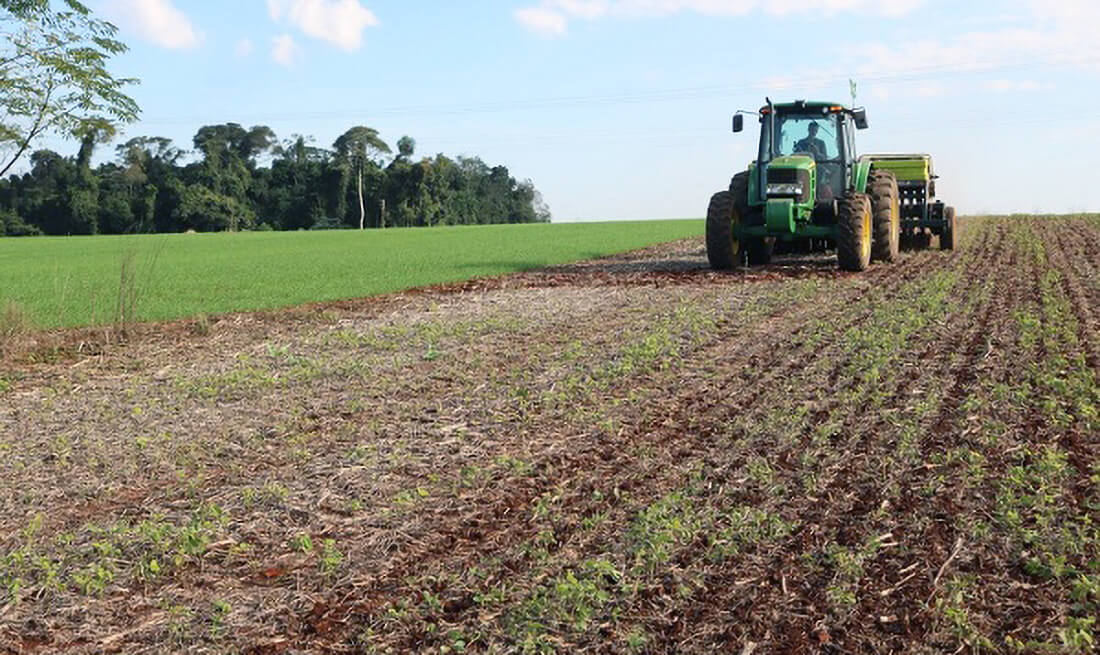 Capa Chuvas atrapalham implantação da safra de inverno no RS