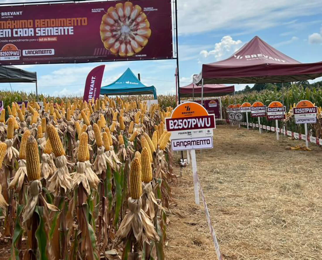 Capa Cotrifred participa de dia de campo sobre inovações tecnológicas em Seberi
