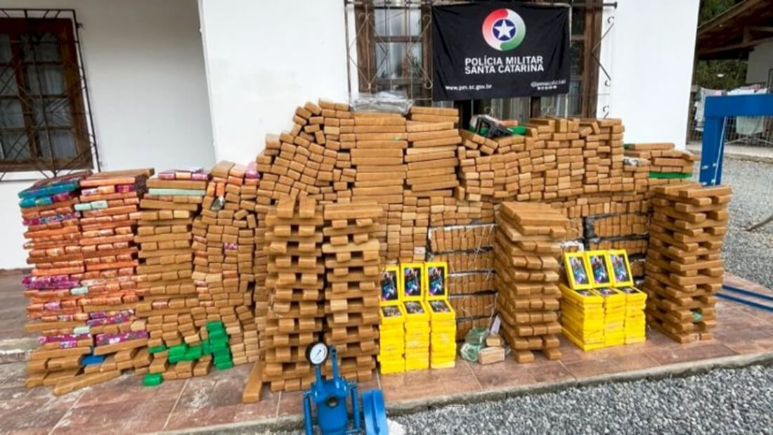 Capa Polícia Militar encontra quase uma tonelada de droga em mata de Santa Catarina