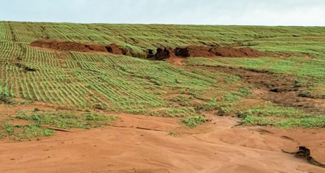 Capa Chuvas freiam plantio de inverno e impactam lavouras no Rio Grande do Sul
