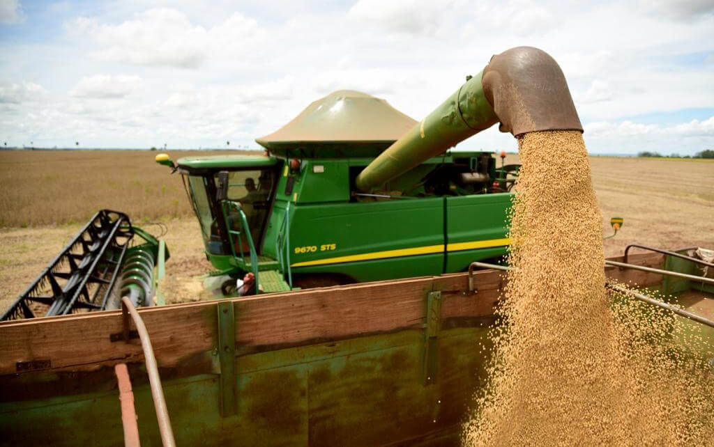 Capa Mesmo com as adversidades climáticas, produção de soja tem aumento de 50% no RS