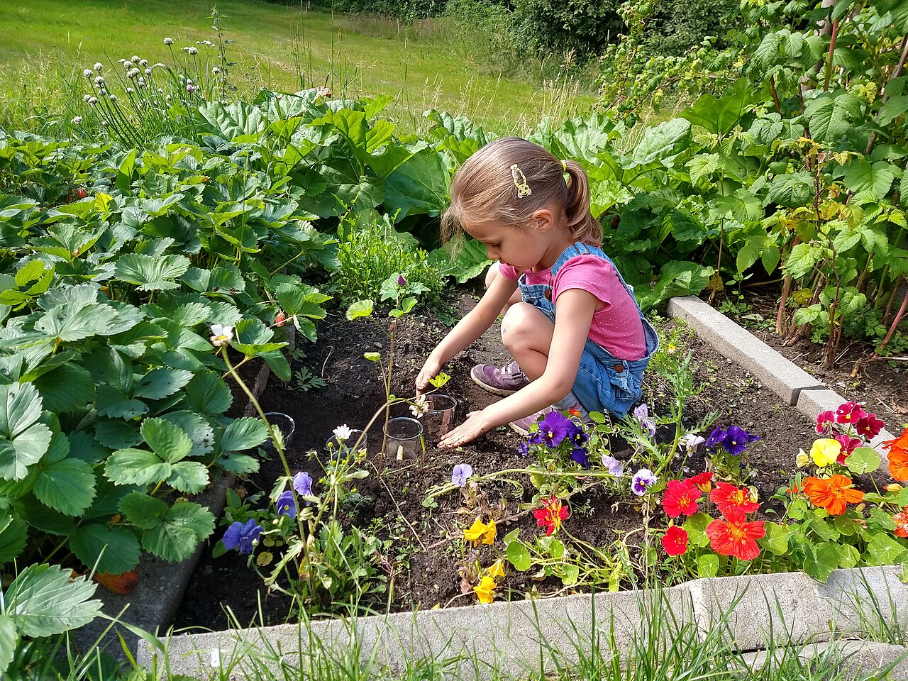 Capa Guatambu e Senar oferecem curso gratuito de jardinagem e paisagismo