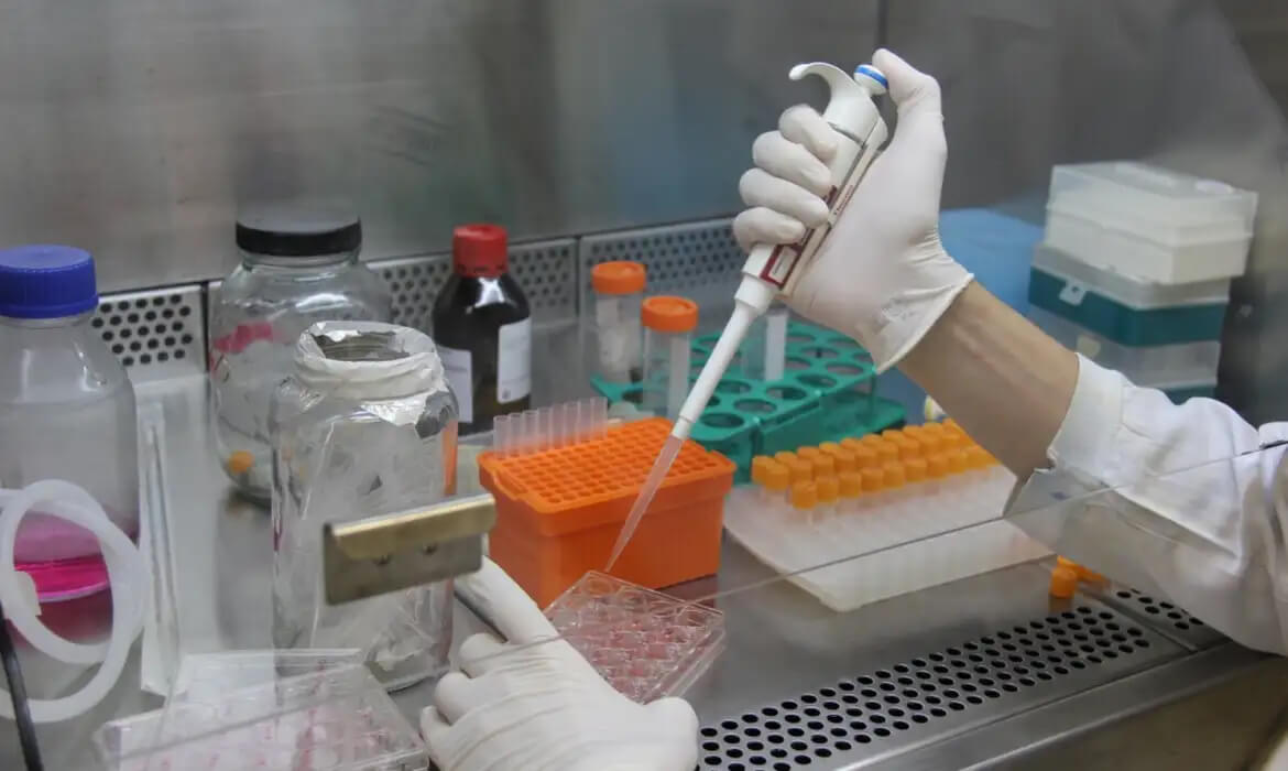 Capa Pesquisa estuda propriedades antitumorais do óleo de copaíba