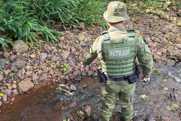 Capa Vazamento de dejetos suínos contamina rio em Seberi