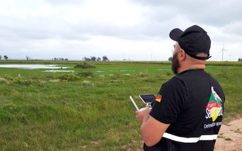 Capa RS inova com uso de drones para vigilância de Influenza Aviária