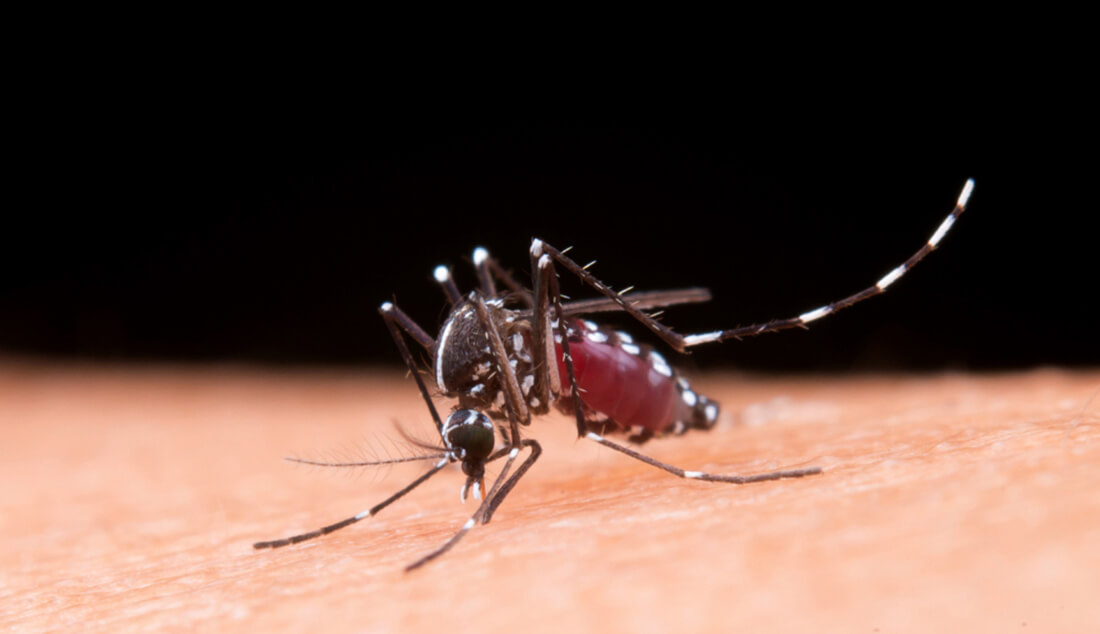 Capa Secretaria da Saúde confirma segundo óbito por dengue no Rio Grande do Sul