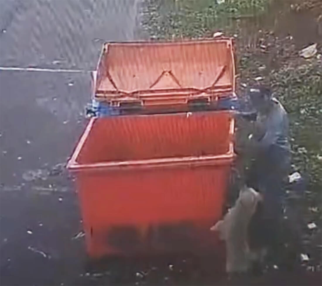 Capa Câmeras flagram homem deixando cachorro em contêiner de lixo em Passo Fundo