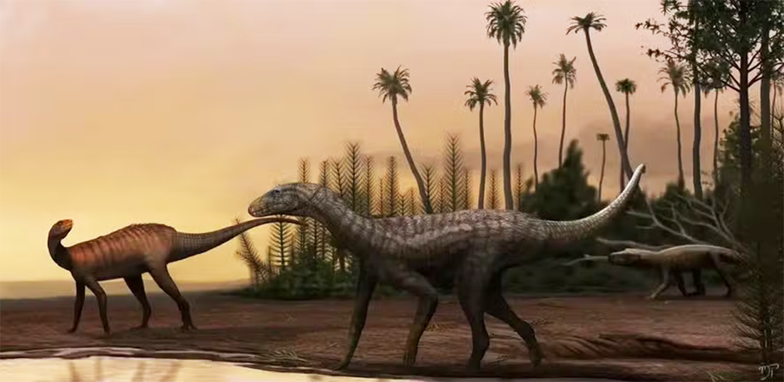 Capa Espécie exclusiva de dinossauro é encontrada no Rio Grande do Sul