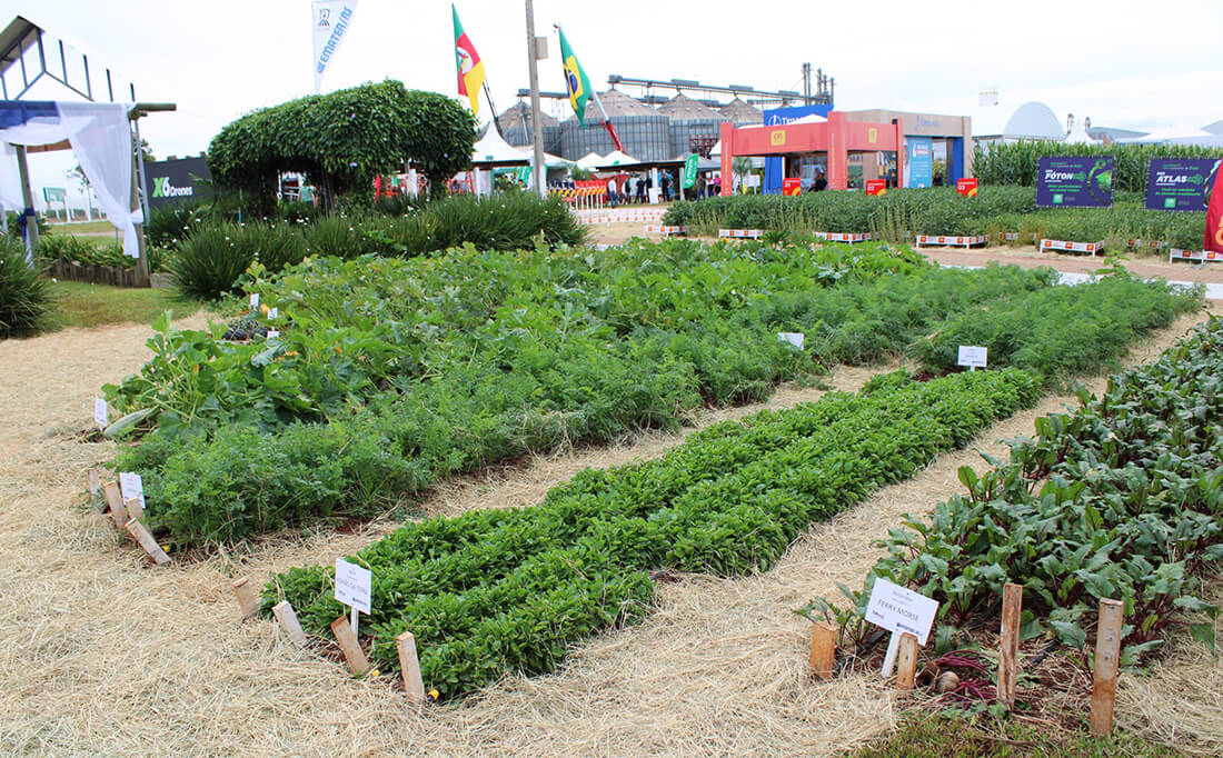 Capa Alimentando o Rio Grande é o tema da Emater na ExpoAgro Cotricampo 2025