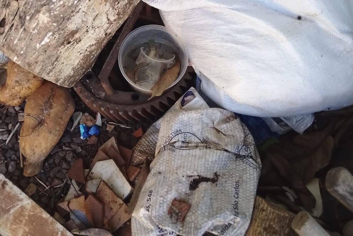 Capa Seberi: Campanha de combate à Dengue da Administração de Seberi segue de forma intensa