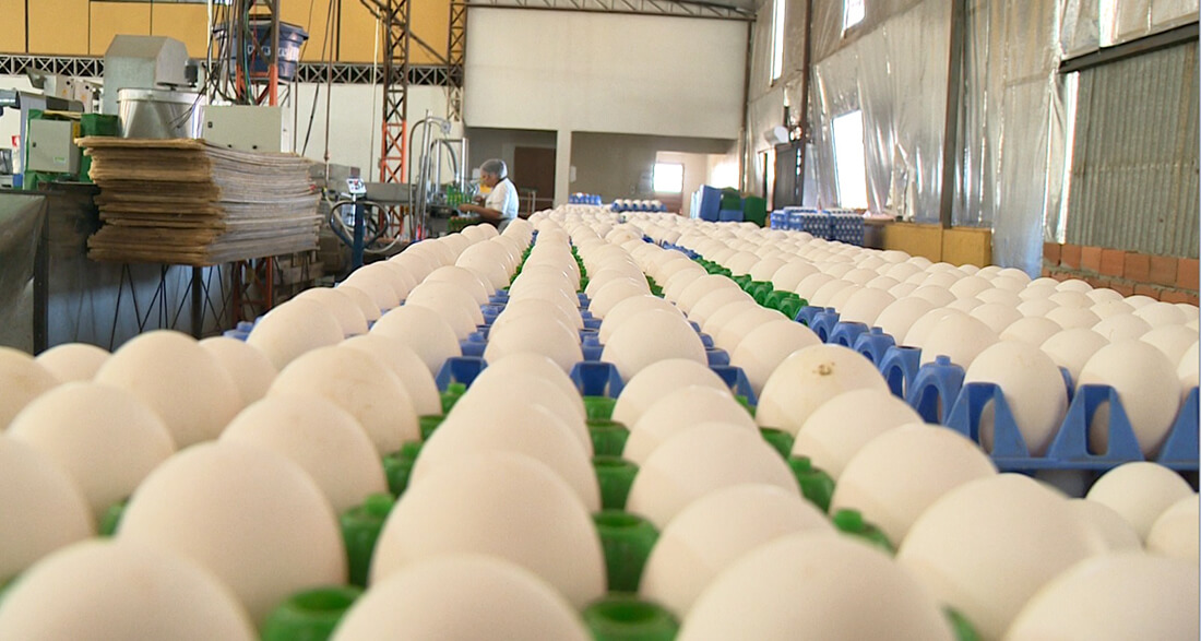 Capa JBS adquire 50% da Mantiqueira e entra no mercado de ovos