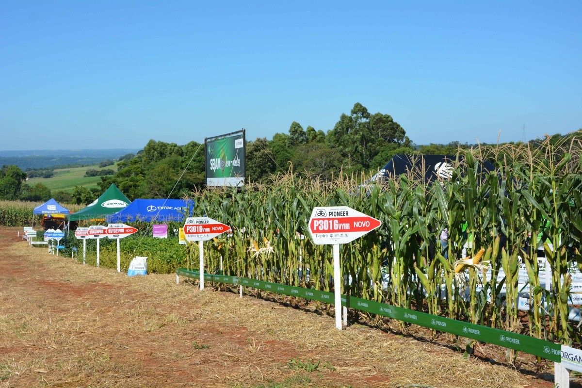 Capa Cotrifred realiza Dia de Campo