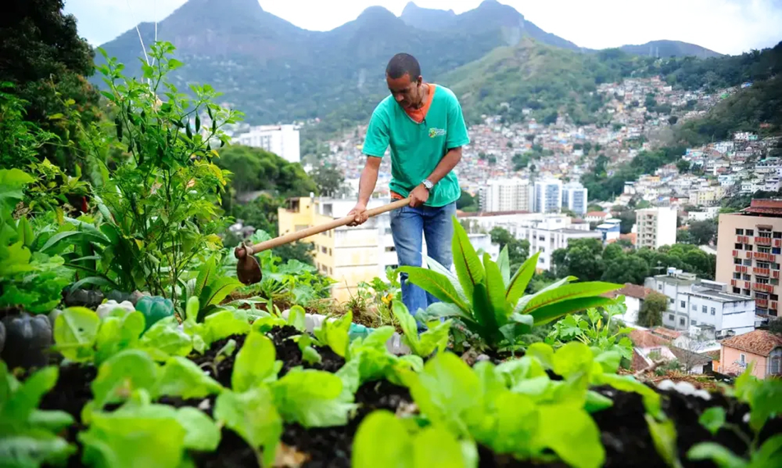 Capa Nova lei pretende estimular a produção de alimentos nas cidades