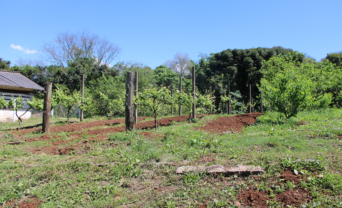 Capa Produtores rurais têm menos de uma semana para entrega da declaração do Imposto Territorial Rural