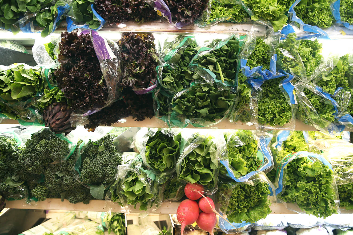 Capa Conab aponta impactos das fortes chuvas na produção de frutas e hortaliças no Rio Grande do Sul