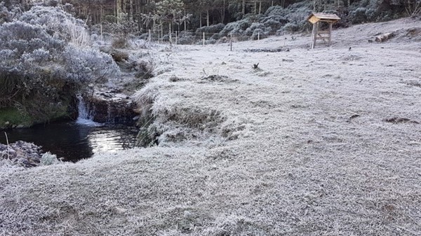 Capa Próxima semana será de frio e geadas no Rio Grande do Sul