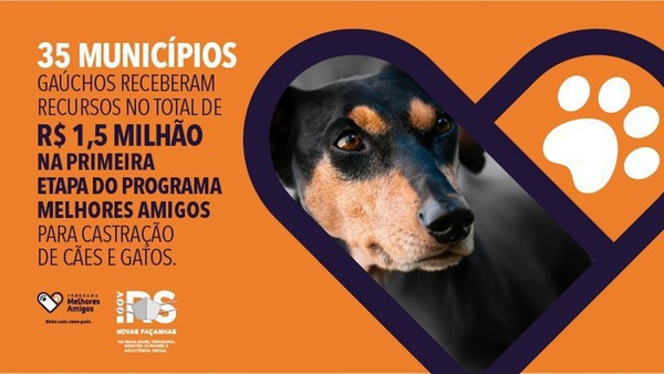 Capa Prefeitura firma convênio para castração de animais de rua