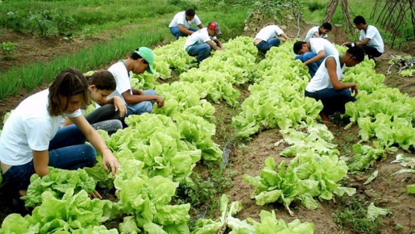 Capa Inscrições para o Bolsa Juventude Rural terminam em 5 de julho