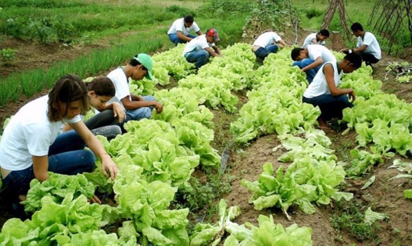 Capa Juventude Rural: prazo para inscrição termina no dia 5