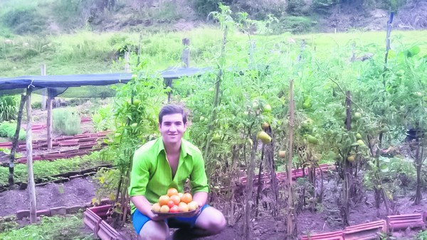 Capa Cotrifred oferece curso Aprendiz do Campo